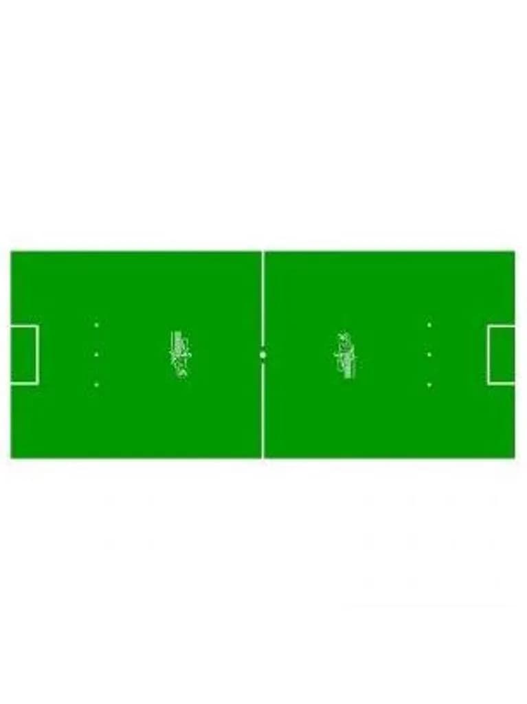 Art. 1800   Spielfeldfolie Roberto Sport 169x70cm