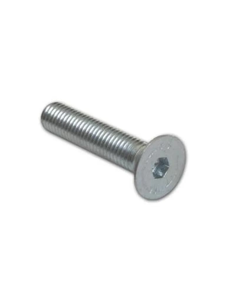 Art. F5.10.02.L317 Schrauben M10, L. 50 mm Longoni