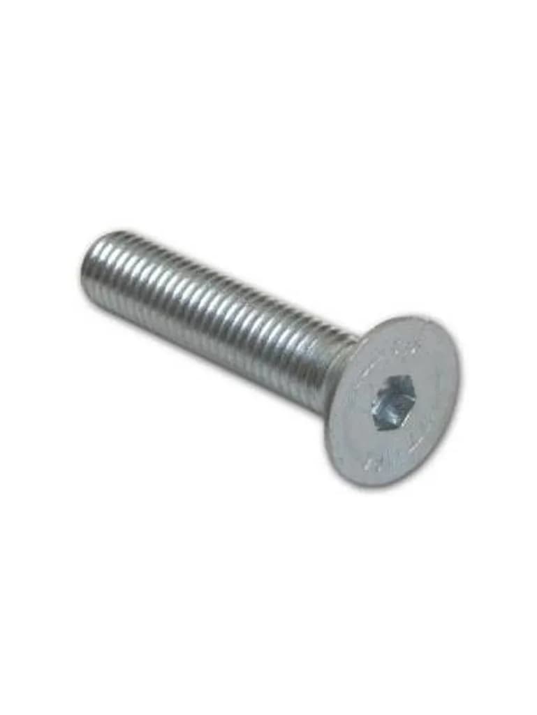 Art. F5.10.02.2A4-202D&S Schrauben D&S, M10, L. 50 mm