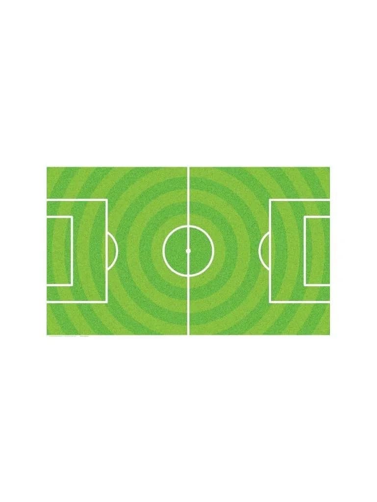 Art. F7.11.01.6290 Spielfeldfolie Longoni-NIR 114x70cm